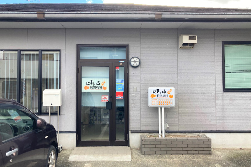 アラタ動物病院巣鴨駅 千石駅犬 猫土曜日・日曜日も診療