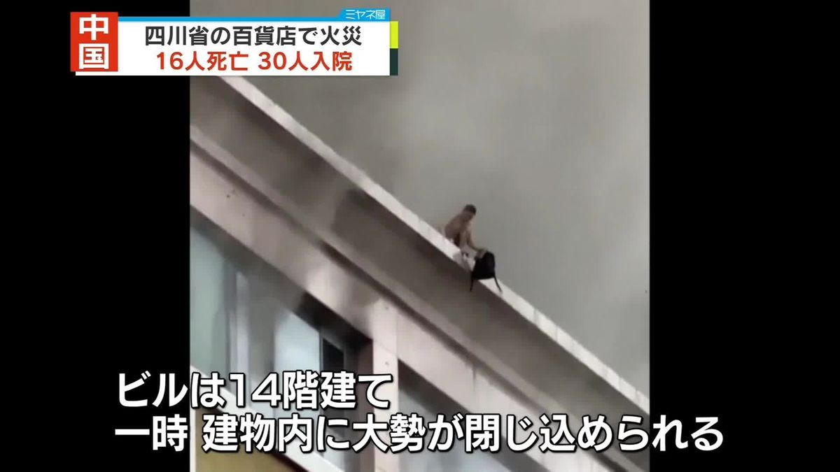 ミヤネ屋の放送事故テンプレートです🐱 CapCut猫マンチカンtiktokあにまるりんぐ放送事故TikTok