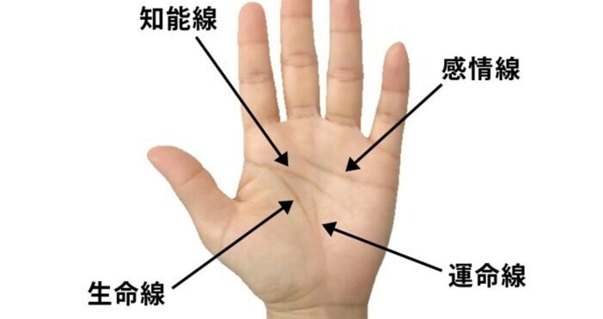 手相占い 指の腹に出る縦じわ＝俵紋が出ている人の仕事運は？卯野たまごの空気を読まず手相を読むmi-mollet ミモレ明日の私へ、小さな一歩！ 2 2