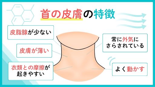 皮膚掻痒症 ひふそうようしょう こばとも皮膚科栄駅 名古屋市栄区 徒歩2分