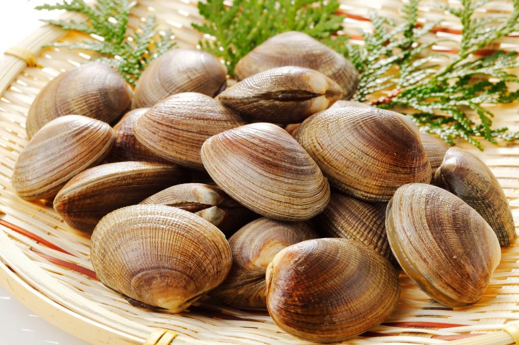 海水の塩分濃度は？あさりの砂抜きや魚の飼育のための海水の作り方もSHINE+ 暮らしを磨く