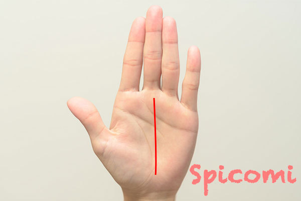 運命線とは？特徴別の手相の意味と見方3選！ 資格のキャリカレ