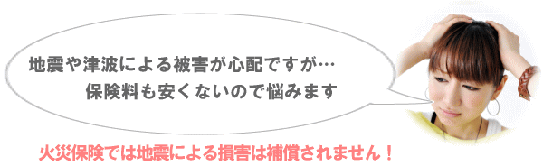 地震火災特約 地震火災30プラン・地震火災50プラン とは？ 損保ジャパン