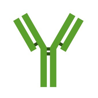 抗体」の6.5万点のロイヤリティフリー画像、写真素材、絵Shutterstock