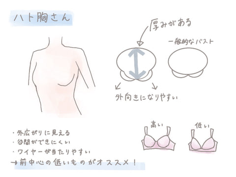 小胸さんなら思わず共感！？小さめバストで得したこと、損したこと。美容キレイの知恵袋ワコール直営の公式下着通販サイト Wacoal WebStore