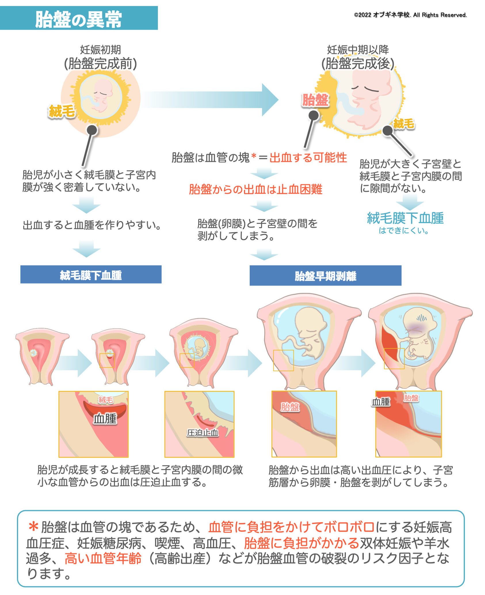 2624やさしくわかる胎盤のみかた・調べ方 第２版