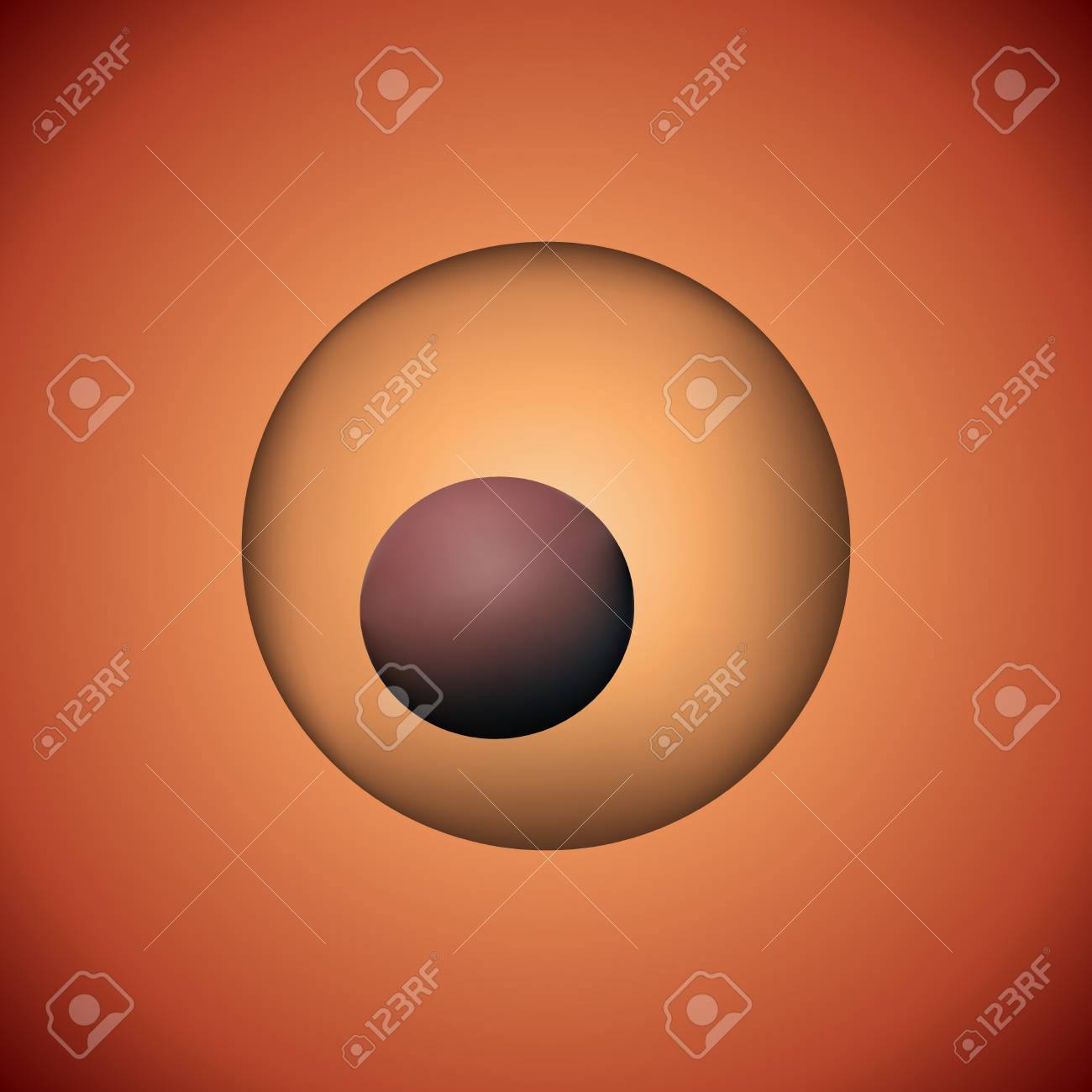 受精卵写真素材、ロイヤリティフリー受精卵画像DepositPhotos