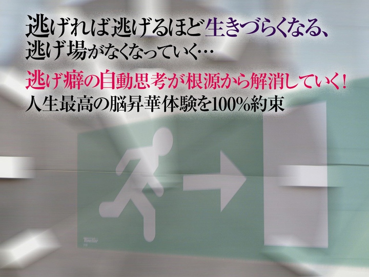 現実逃避あにまるず』発売。何も考えず ねていたいがちゃぽん情報