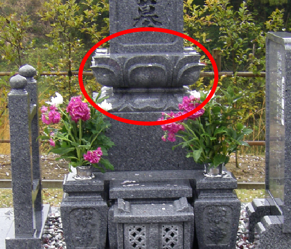 最強のアームバランス?!ローラーサナをマスターするための教科書なつみ＆こーきのヨガノート