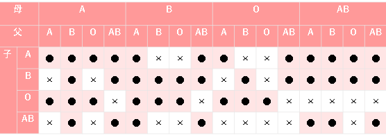 ②ＡＢＯ血液型検査日本医学臨床検査研究所