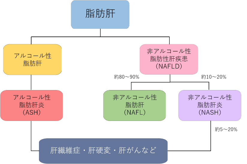 脂肪肝と言われたら三重大学病院 消化器・肝臓内科