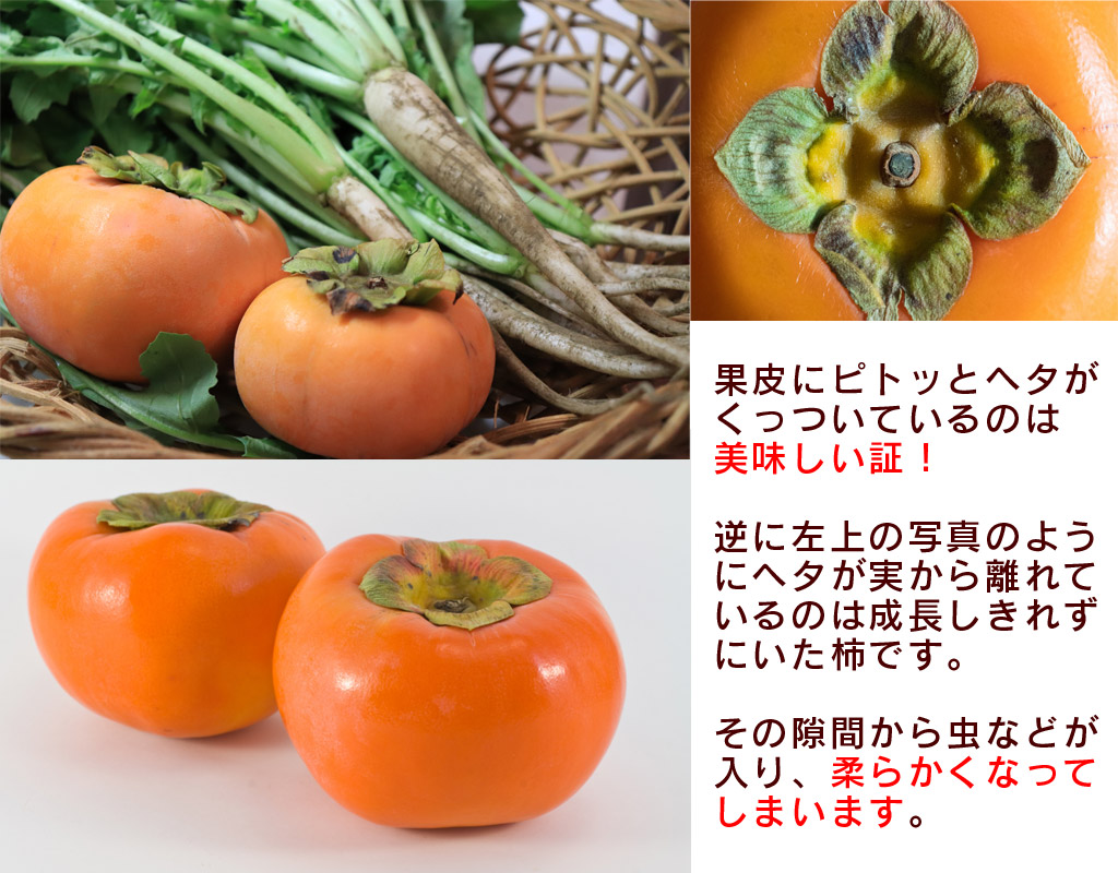 固い柿を柔らかくする方法アラサー主婦、ゆる～く、楽しく