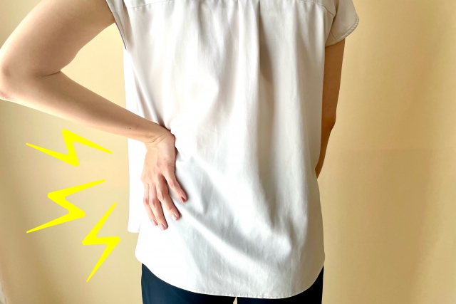 erugamエルガム腹筋たまブルー 54177