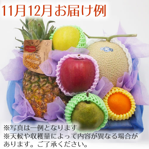 お彼岸 に 果物 かご盛り お供え物 フルーツギフト 籠盛り 盛り籠 三回忌御供物 法事御供 七回忌御供え 49日 年忌 法要 一周忌 B1 :FRUIT GARDEN 山口果物 - 通販 - Yahoo!ショッピング