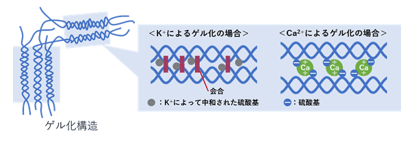マナテック アンブロトースパウダー100g ◎限定特価！10個！マナテック アンブロトース ライフ パウダー 100g