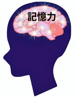 記憶力が確実にアップする本 イラスト図解版 どんどん覚えられて、しかも忘れない