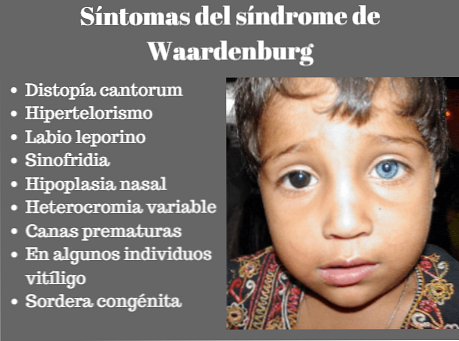 インドネシアのブトゥン島の部族が持つ、美しく鮮やかな青い瞳2020年10月10日- エキサイトニュース