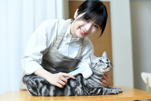 猫同士が舐め合う意味とは？毛繕い以外の理由もあった！UCHINOCO ＜うちの子＞