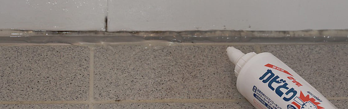 野口商事のカビ取り剤で、10年間掃除したことのない「窓枠のゴムパッキン」がピカピカになったROOMIE ルーミー