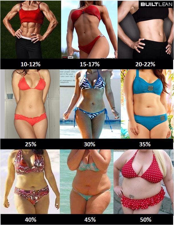 Weight and body fat percentage of a 150cm muscle-training girl - YouTube