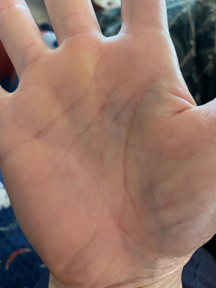 工地日記26 - 巴哈姆特