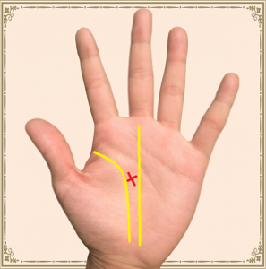 手相占い 二重知能線TikTok