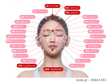 解剖学を活用した顔の描き方 パーツの動き方に注目！イラスト・マンガ描き方ナビ