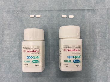 しつこい痒みでイライラ！犬のアトピー性皮膚炎って何