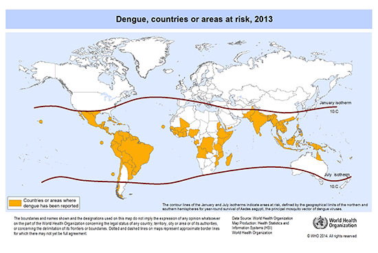 デング熱ってどんな病気？？？セブ国際ボランティア NPO法人 DAREDEMO HERO