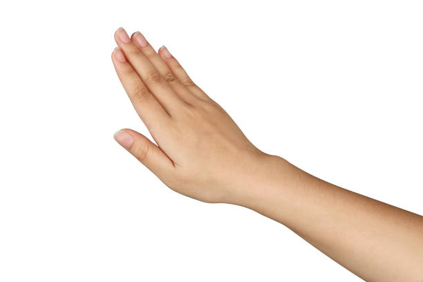 綺麗な指」を手に入れるケア習慣を大公開！ - 藤沢市 湘南台 ネイルサロン Meili メイリー