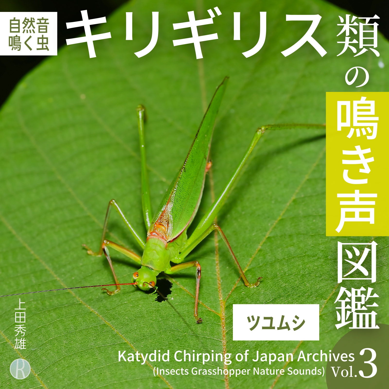 昆虫の音-いたずら - Google Play のアプリ