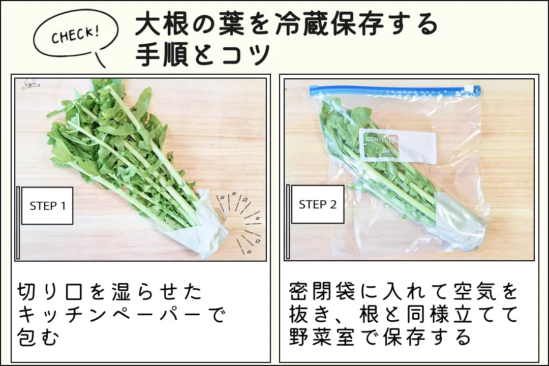 大根の保存方法を詳しく解説！おいしさを長持ちさせる冷蔵・冷凍・乾燥保存のコツが丸わかり！ONIGO通信スーパー価格で、すぐ届く。ONIGO