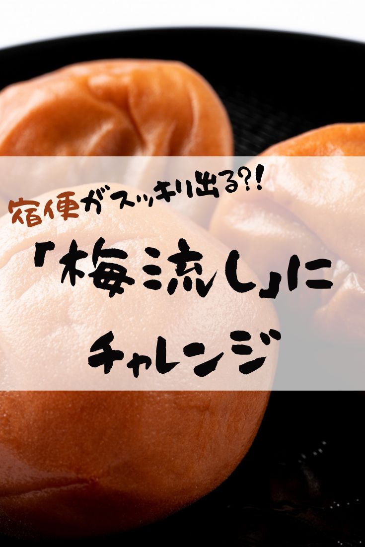 体験談 プチ断食＆梅流しで宿便はスッキリ出るのかやってみた