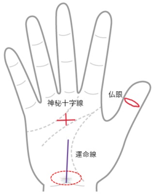 手相 占い ご先祖様からしっかり守られている手相４選＋人相！水森太陽がとことん教えます！ - YouTube