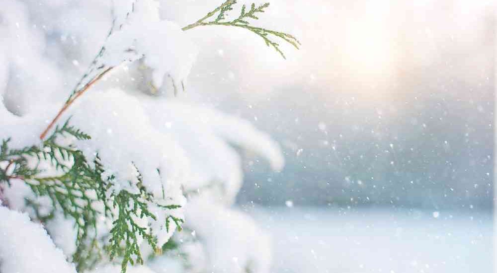 巻き込まれたらどうすればいい？ 雪山登山者必読 雪崩の仕組みとその恐怖YAMA HACK ヤマハック