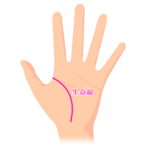 途切れた生命線の意味とは？」業界騒然の新解釈と話題！瀧川雅也さんに学ぶ手相の読み解き方3 3介護ポストセブン