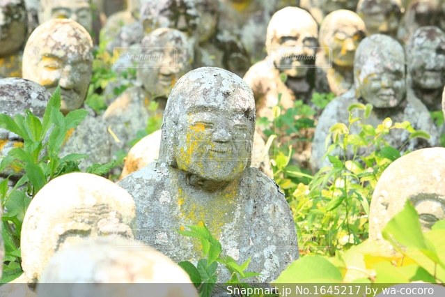 顔の柔軟性を高めよう！小顔づくりの秘訣!! 表情筋エクササイズ
