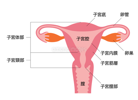 保健活動 体の部位の名前・仕組みを知る 体の拭き方・皮膚の病気について生活クラブ風の村 社会福祉法人生活クラブ