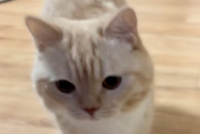 ＦＬＯＷ ＣＬＯＵＤの意味と特典と私！FLOWCLOUD ーフロウクラウドー 大阪・泉大津の完全予約の会員制美容院