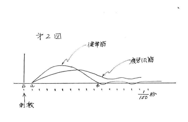 No.03 アマガエルCT生物図鑑