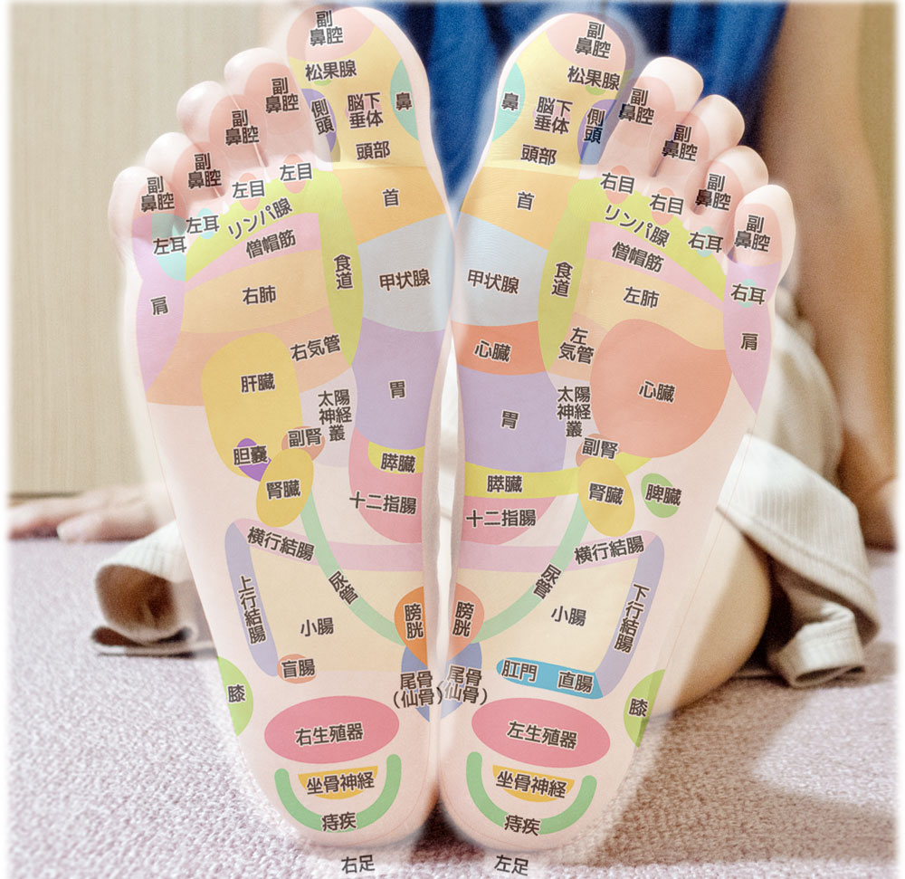 Amazon.co.jp: UPstore 足つぼ 模型 反射区 経穴 立体図解 日本語表記 左右セット 足裏マッサージ フットマッサージレッグリフレ : ホーム＆キッチン