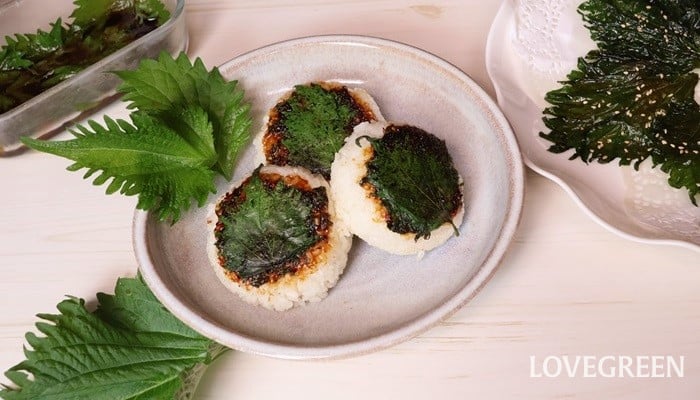 豚肉と大葉のミルフィーユ鍋 2人分味の兵四郎 ひょうしろう 公式通販サイト