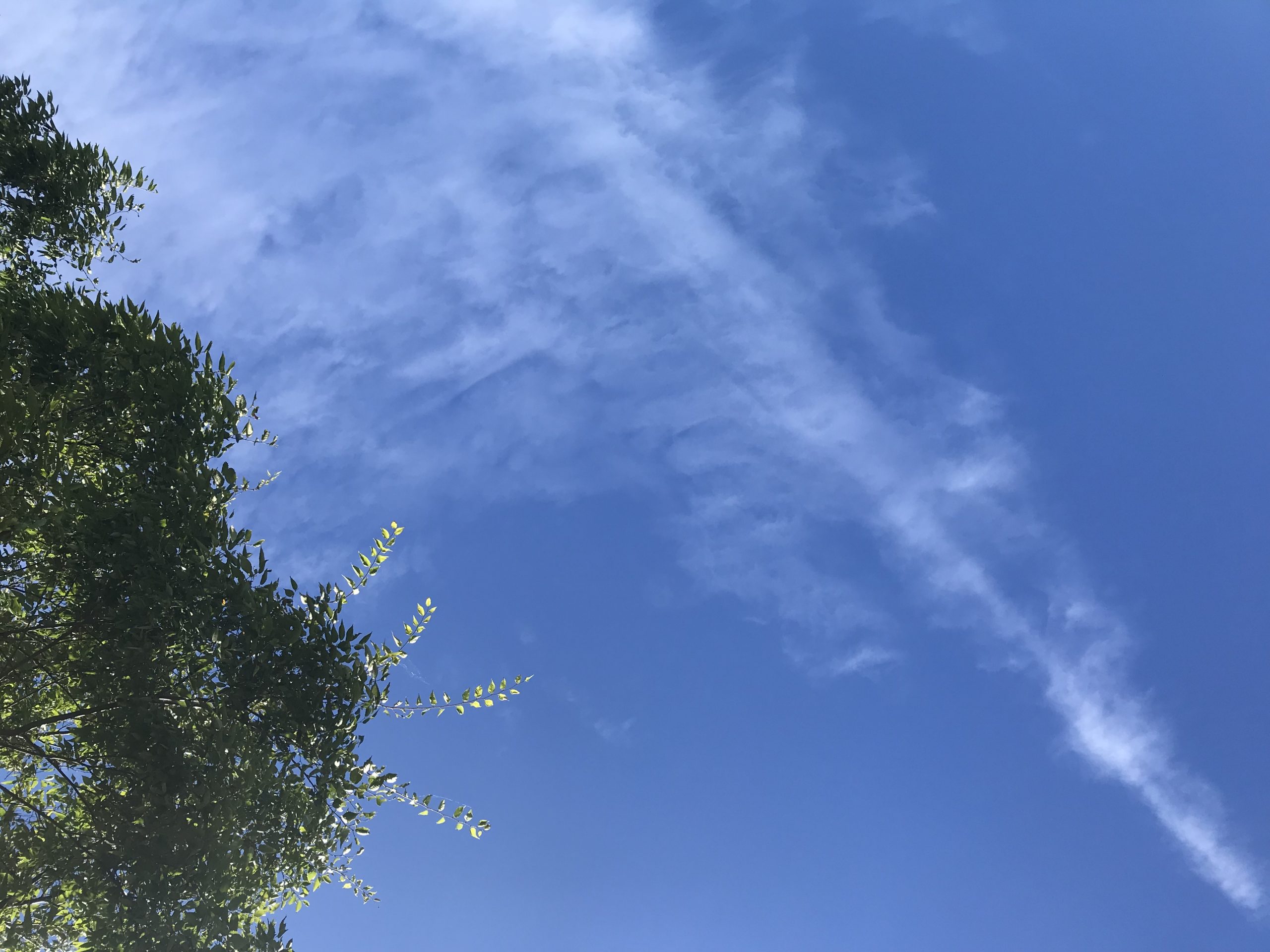 バナナを使った紫外線を通さないものを調べる自由研究動機・やり方・考察・まとめ方 - 自由研究テーマとまとめ方