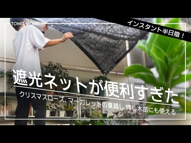 遮光ネット 日よけ ネット 遮熱 遮光 庭 ベランダ 鳥避けネット 園芸 日除け 遮光率90% 紫外線対策 UVカット 節電 日焼け止め 耐久性 庭風通し 折りたたみ 軽量 保護カバー農業 おしゃれ 夏 庭 ガーデン ベランダ 窓