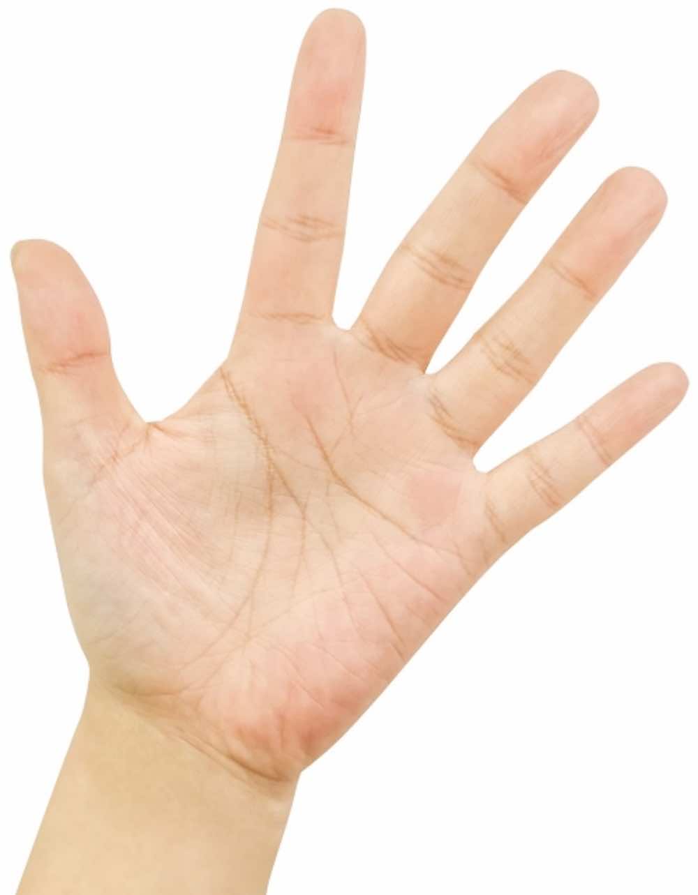 手相占い 「運命線」の見方と意味は？ 長さ・本数で運勢を読み解く - 占いTVニュース