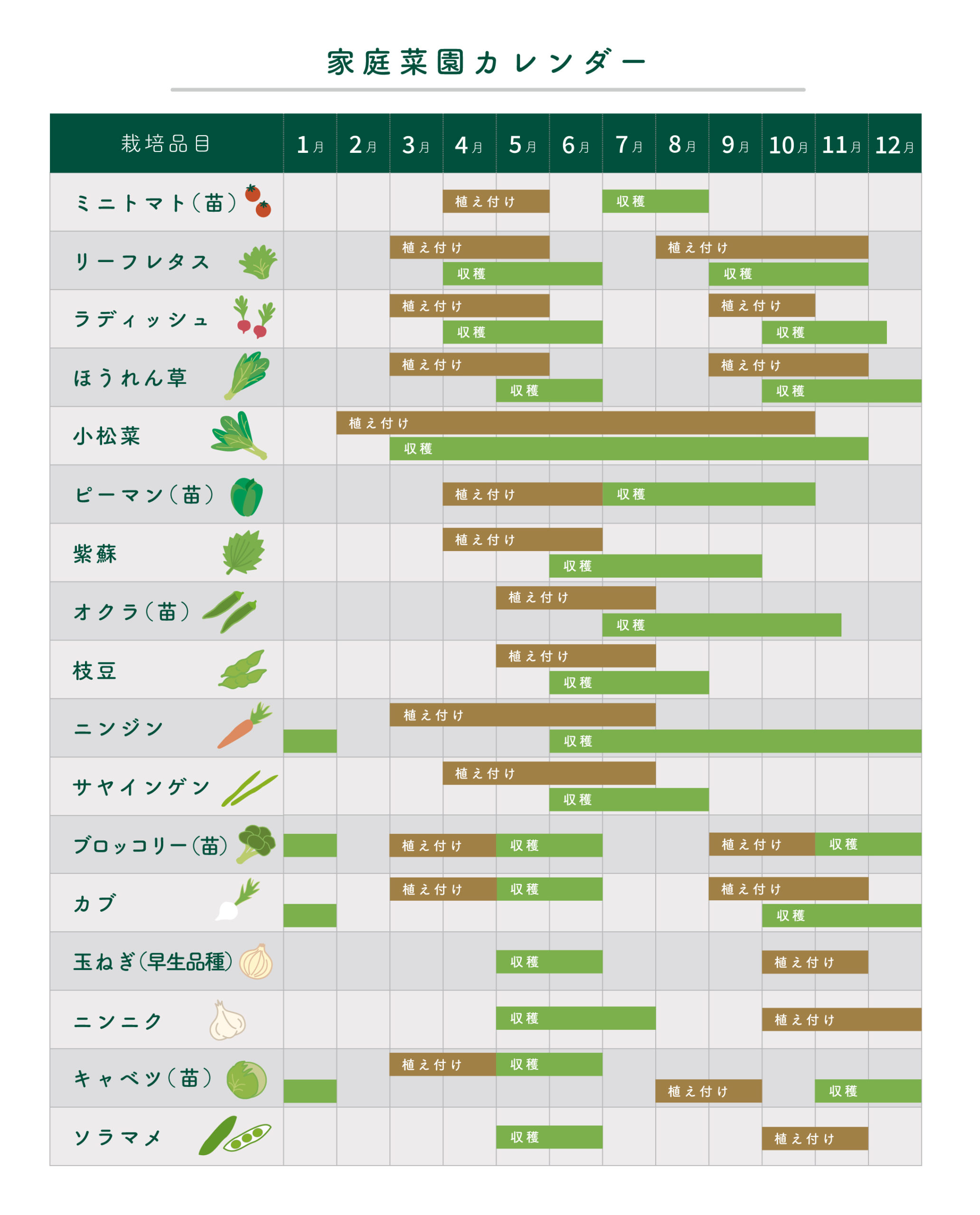 夏野菜の家庭菜園 植える時期や種まきはいつ？初心者でもおすすめの育てやすい野菜とは？ - そらくら