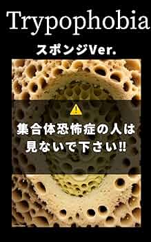 集合体恐怖症の人ごめんなさい🙇 蓮ハスcanonキヤノンeosr6ミラーレスカメラcameraphoto写真お写んぽカメラ好きな人と繋がりたい写真好きな人と繋がりたいファインダー越しの私の世界福島カメラ部