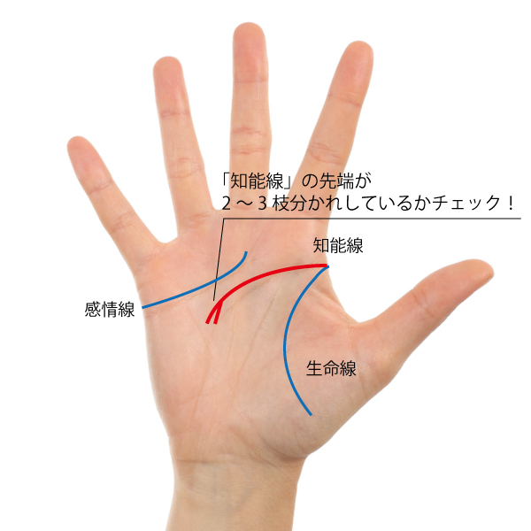 手相占い 感情線でわかること！手相の意味や見方を解説 -セキララゼクシィ