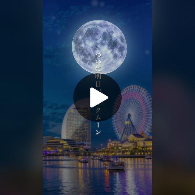 月灯霊術で未来の恋・復縁・結婚の可能性を鑑定します 他にはない「月灯霊術」で、見えないご縁や愛の行方を紐解きますココナラ