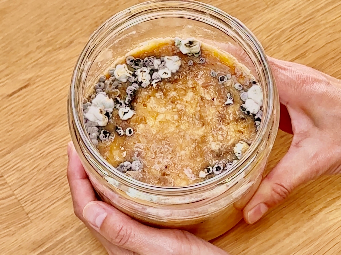 味噌作りの際のカビ「事前の防止策」と発生した時の「対処方法」について - 鹿児島の醤油と麦味噌の蔵元 かねよみそしょうゆ